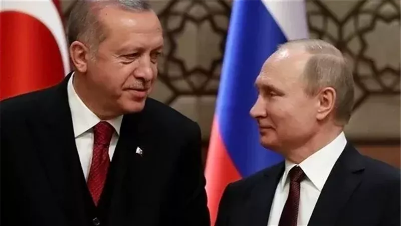 أردوغان وبوتين، فيتو