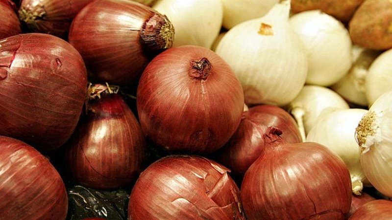 ارتفاع أسعار البصل،