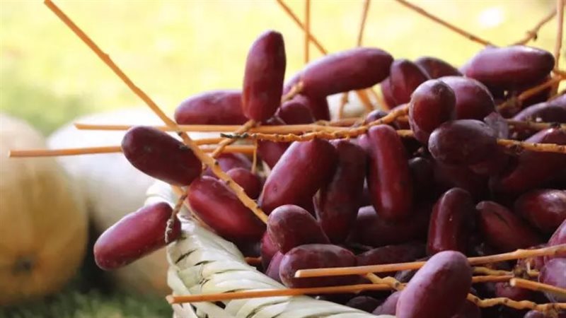 فوائد البلح الاحمر،