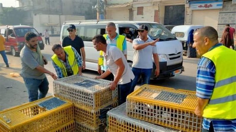 رفع حالات إشغال طريق