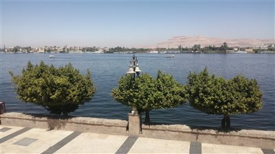 الأرصاد: ارتفاع درجات الحرارة بالأقصر 