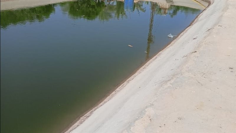 بيارة مياه، فيتو