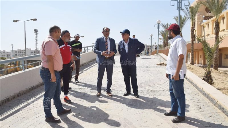 الدكتور السيد قنديل