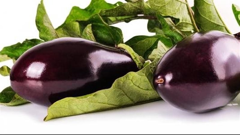 فوائد الباذنجان،