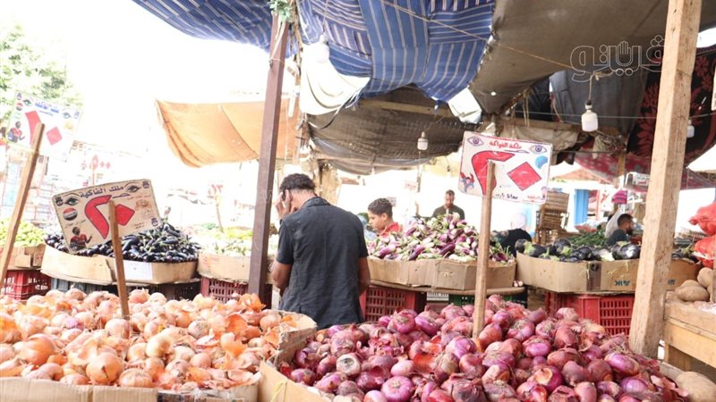 أسعار البصل اليوم،