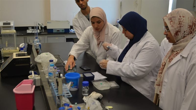 مدينة الأبحاث، فيتو