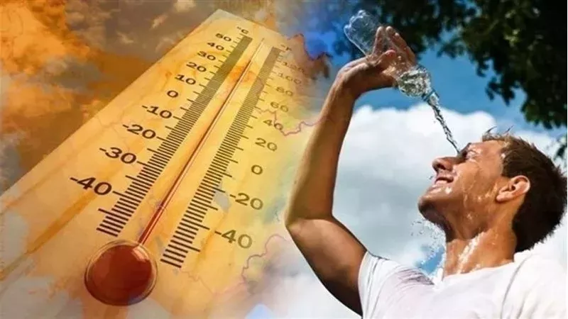 حالة الطقس،فيتو