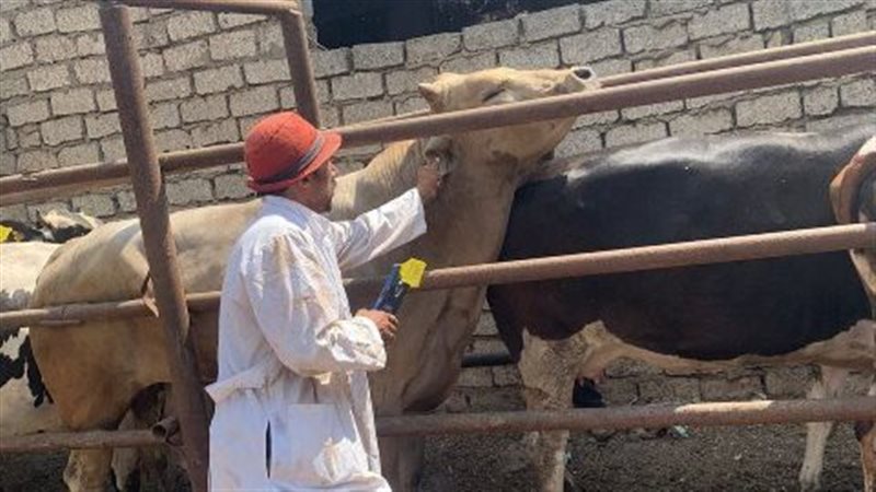 تحصين وترقيم 523