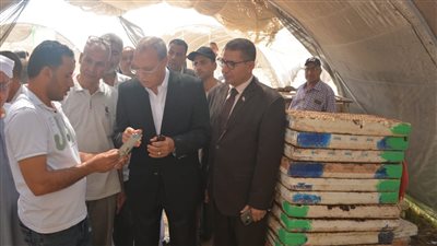 بمناسبة عيد الفلاح، محافظ القليوبية يتفقد عددًا من الصوب الزراعية (صور) 
