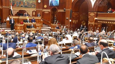 مجلس الشيوخ يناقش مشروع قانون المسئولية الطبية.. يستهدف تحقيق التوازن بين حقوق المرضى وواجبات الأطقم الطبية