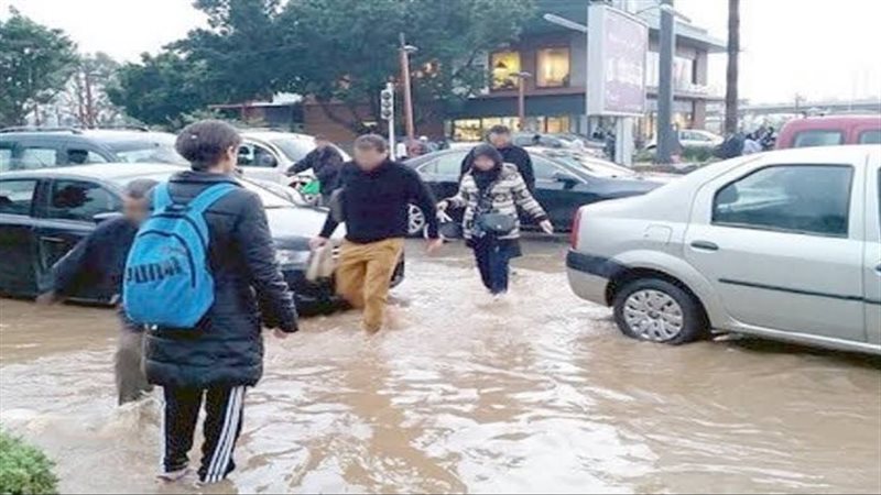 إعصار دانيال،فيتو
