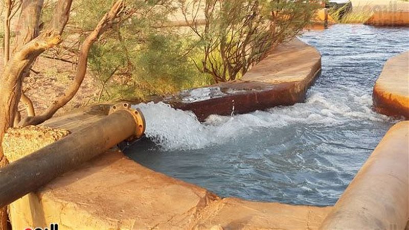  واحات الوادي الجديد،