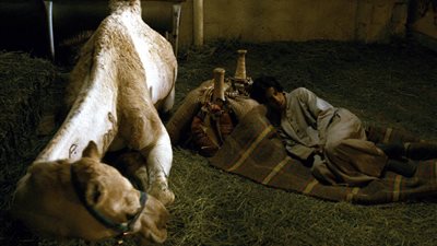 النقاد عن فيلم 