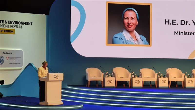 الدكتورة ياسمين فؤاد