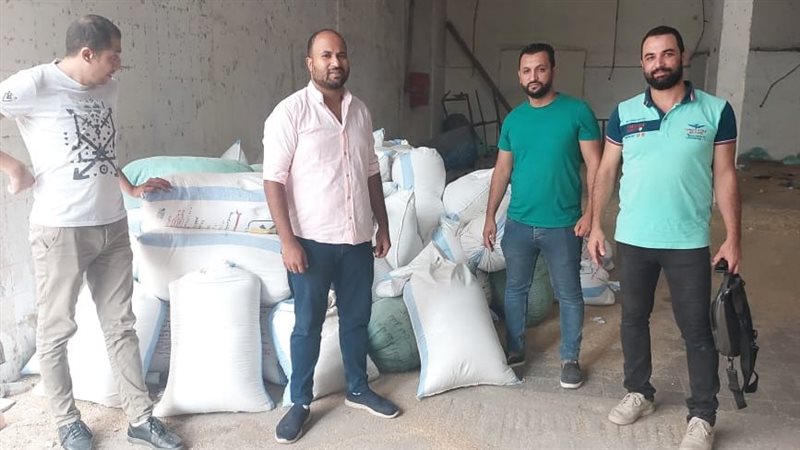 الإسكندرية،فيتو
