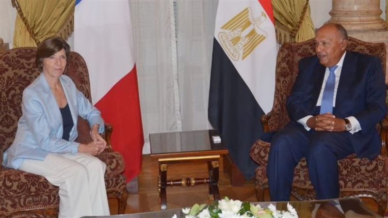 سامح شكرى وزير الخارجية