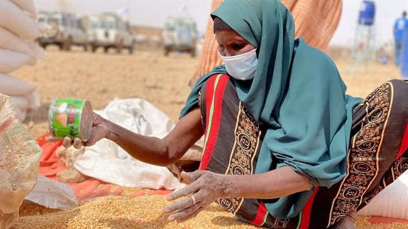أزمة الغذاء العالمية،