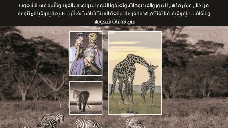 فعالية عن شعوب أفريقيا