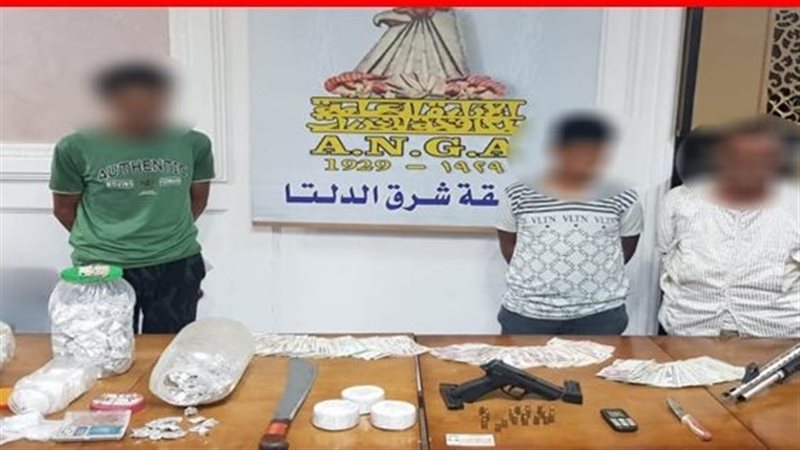 تشكيل عصابى بالدقهلية،فيتو