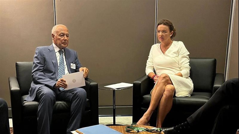 أحمد أبو الغيط الأمين