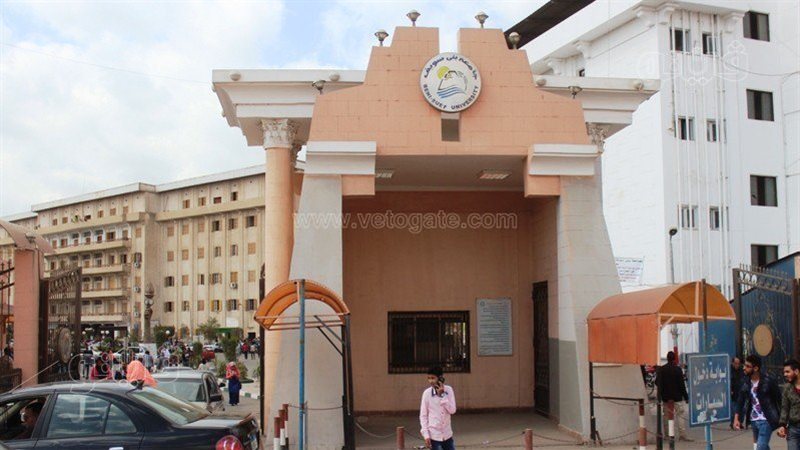 جامعة بنى سويف، فيتو