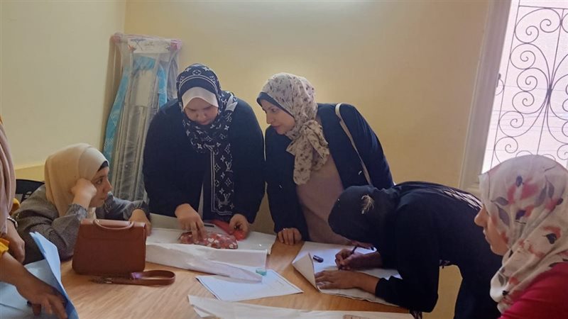 وزارة العمل،فيتو
