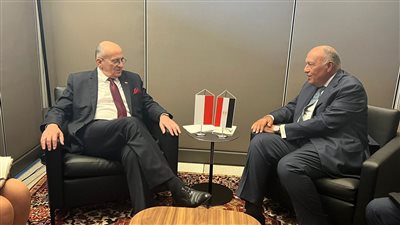 وزير الخارجية يبحث مع نظيره البولندي حرب أوكرانيا وعلاقات وارسو والقاهرة