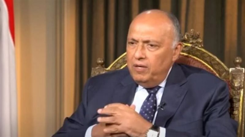 سامح شكري، وزير الخارجية،