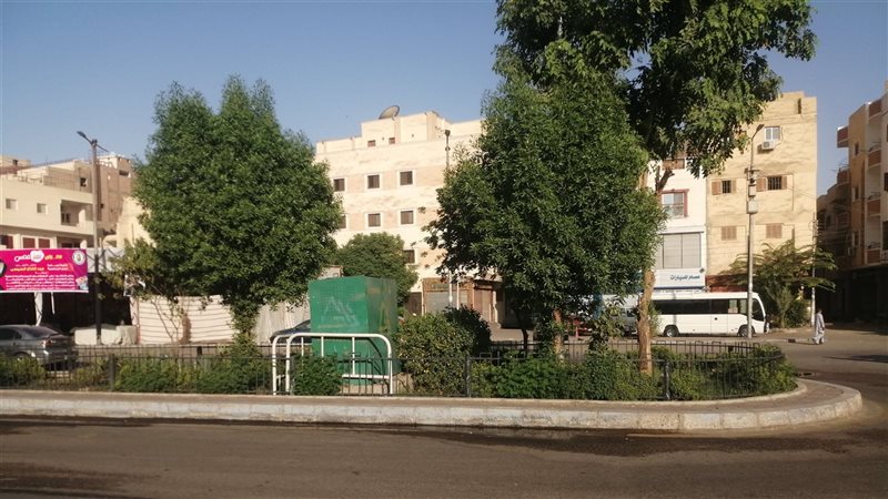 محافظة الأقصر، فيتو