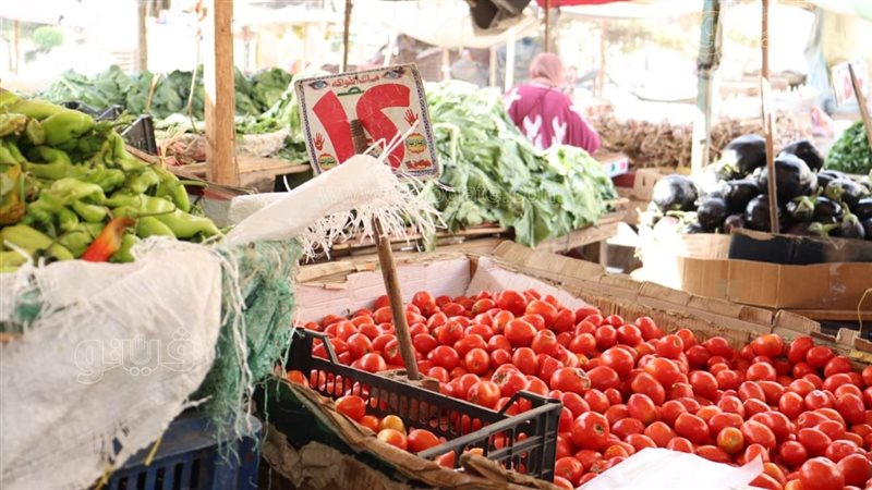 أسعار الخضراوات اليوم،