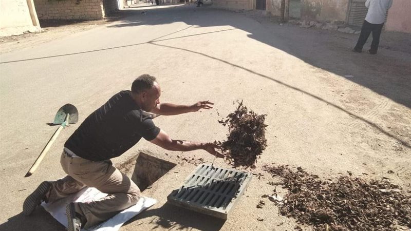 الإسكندرية،فيتو