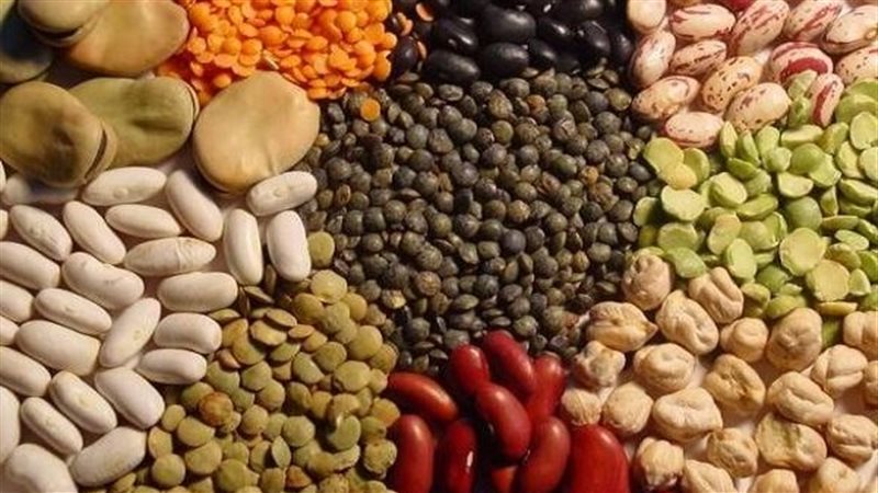 أسعار البقوليات 