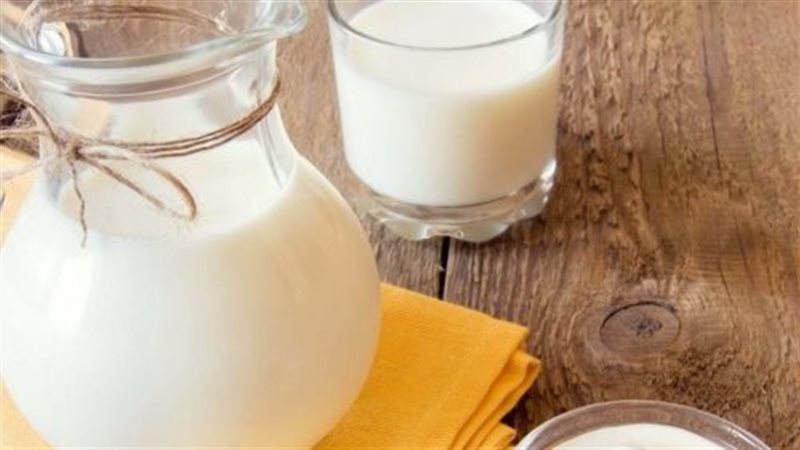 أسعار الالبان 