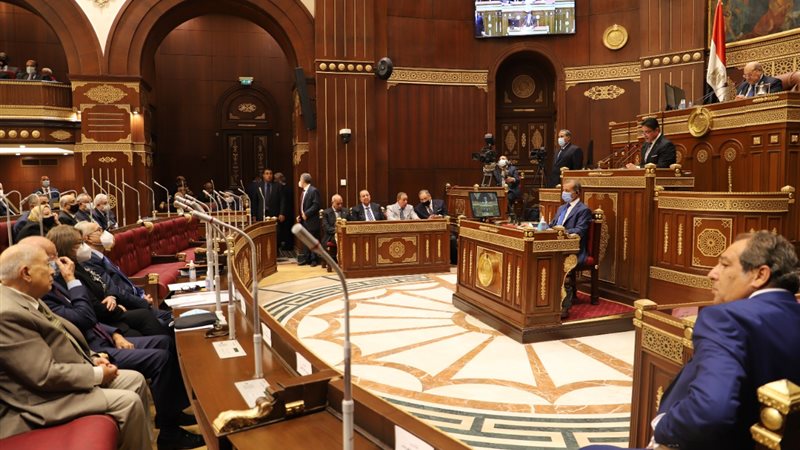 مجلس الشيوخ 