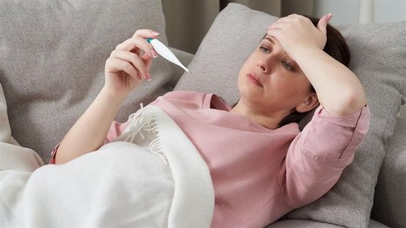 حمي التيفوئيد، فيتو