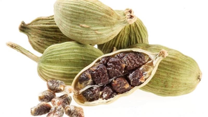 فوائد الحبهان، فيتو