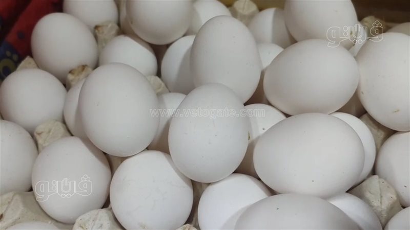 أسعار الأجبان والألبان