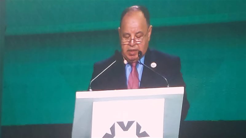 الدكتور محمد معيط
