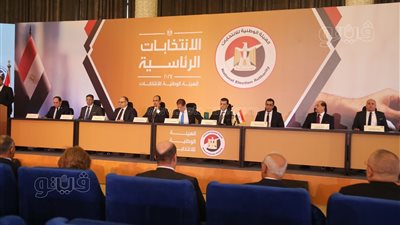 الوطنية الانتخابات: إقبال مرتفع على التصويت بالخارج والمنوفية الأعلى مشاركة تليها القاهرة