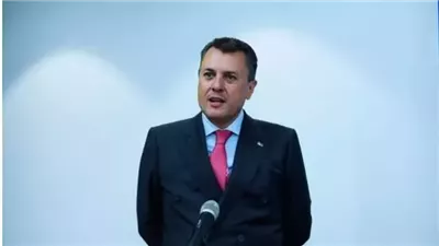 وزير السياحة يترأس الاجتماع الـ17 للجنة المصرية اليابانية العليا للمتحف المصري الكبير