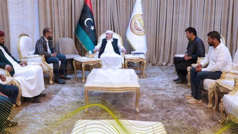 عقيلة صالح، فيتو