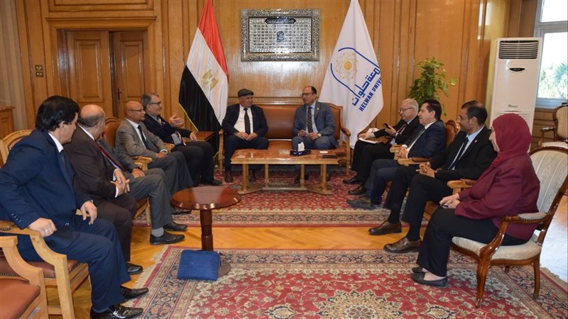 الدكتور السيد قنديل