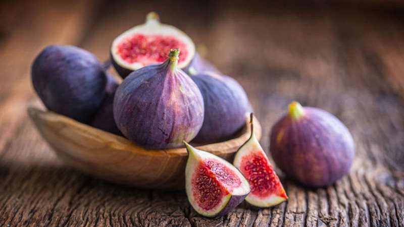 تفسير رؤية التين
