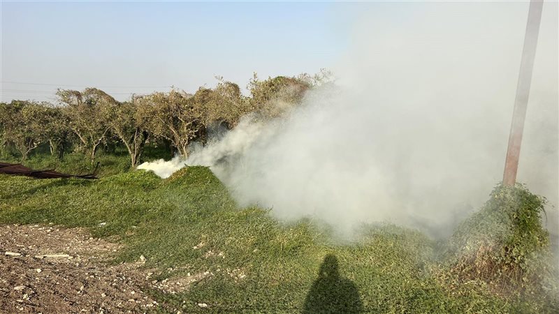 حريق بأرض زراعية