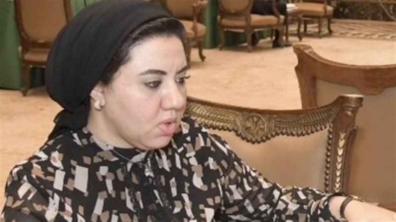 النائبة أميرة صابر