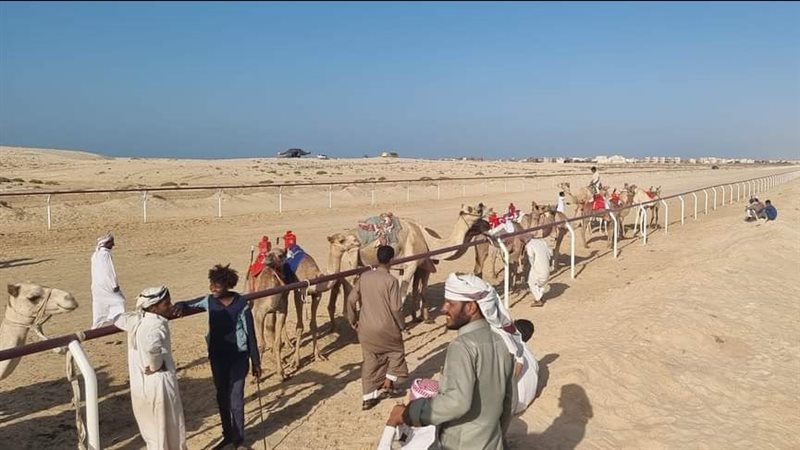 سباق الهجن،فيتو