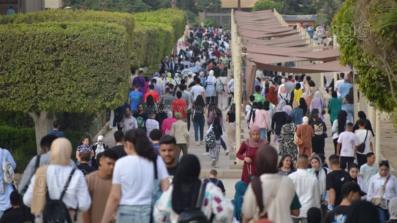 طلاب جامعة حلوان