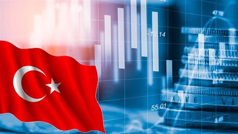 الاقتصاد التركي،فيتو