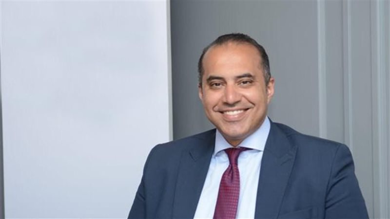 المستشار محمود فوزي،