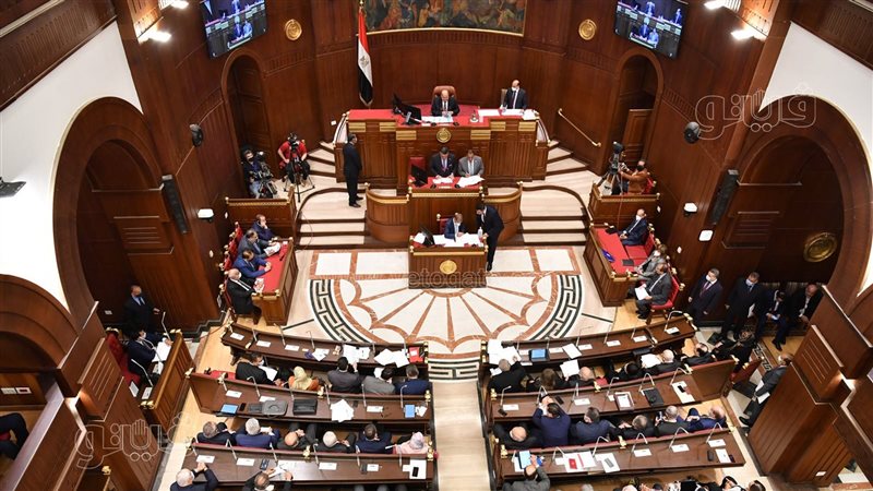 مجلس الشيوخ، فيتو